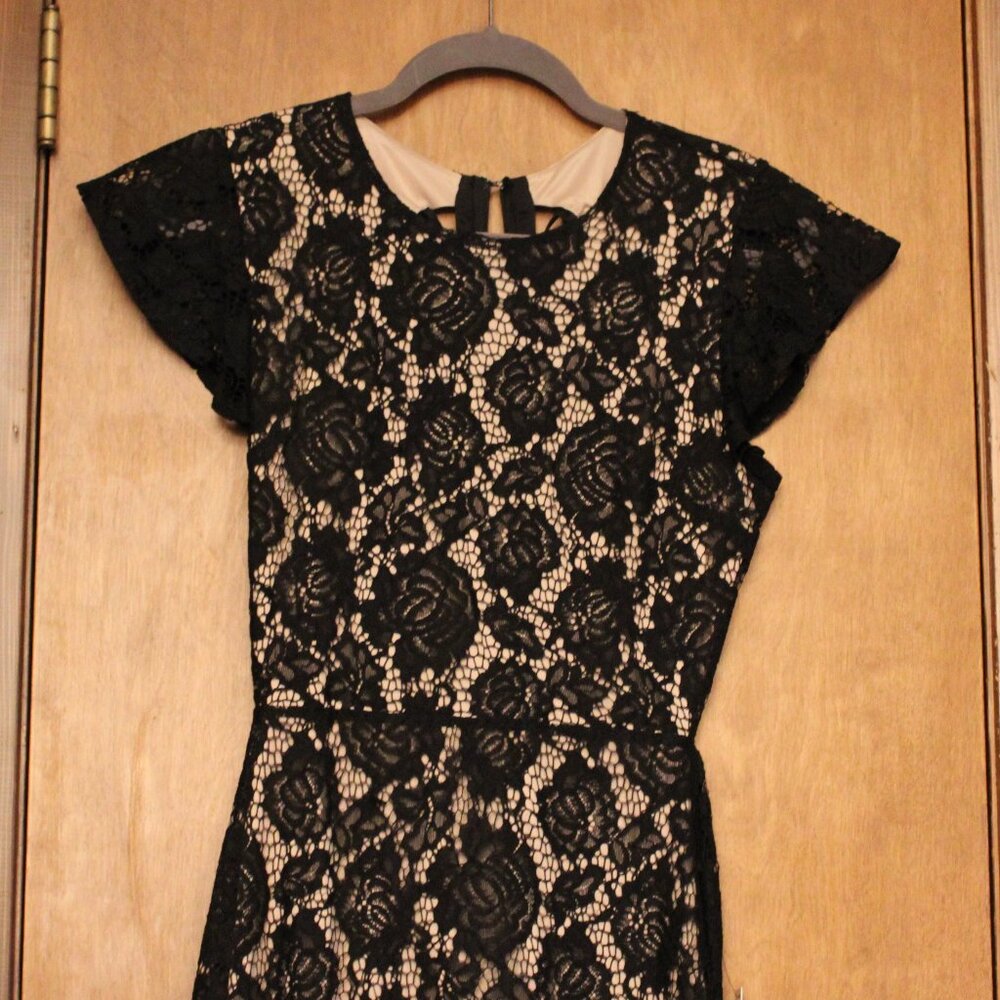 Express Black Lace Open Back Cocktail Dress Nude Lined Size M NWT